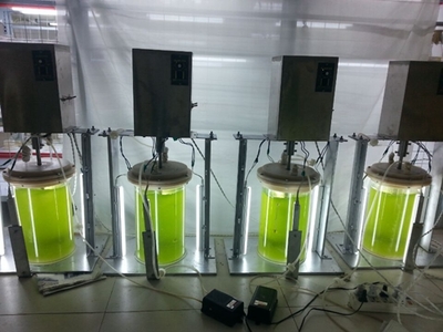 武汉轩明宇环保科技 创新驱动，铸就绿色未来——环保设备及装置的研发之路